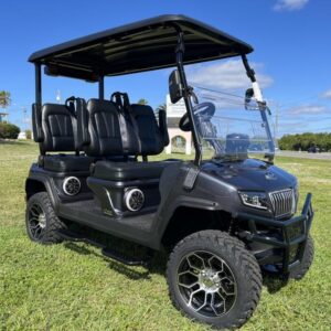 2025 Evolution D5 Maverick 4 Plus Arctic Gray | Cart with CarPlay